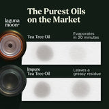 Lagunamoon Essential Oils -  Set of 6 + 20 Premium Fragrances 10ml