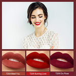 Full Size Velvety Smooth and Matte Full Pigmented, Long Lasting Waterproof Lip Gloss